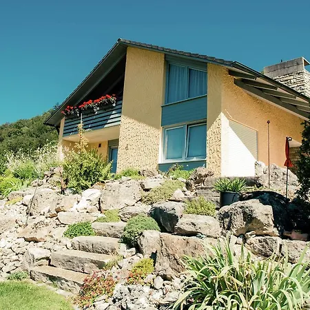 Cozy In Dollnstein With Sauna Apartment *